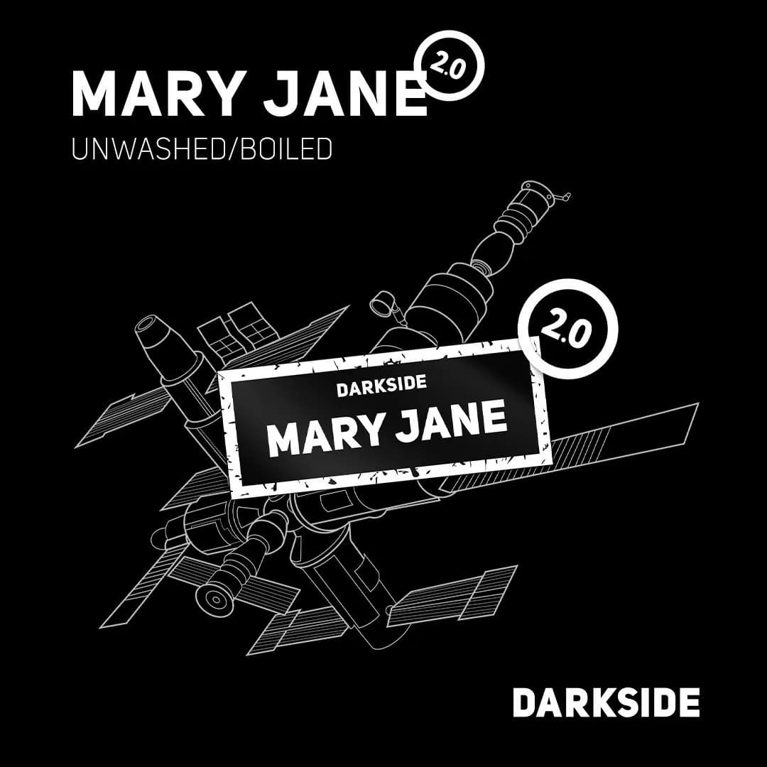 MARY JANE 2.0