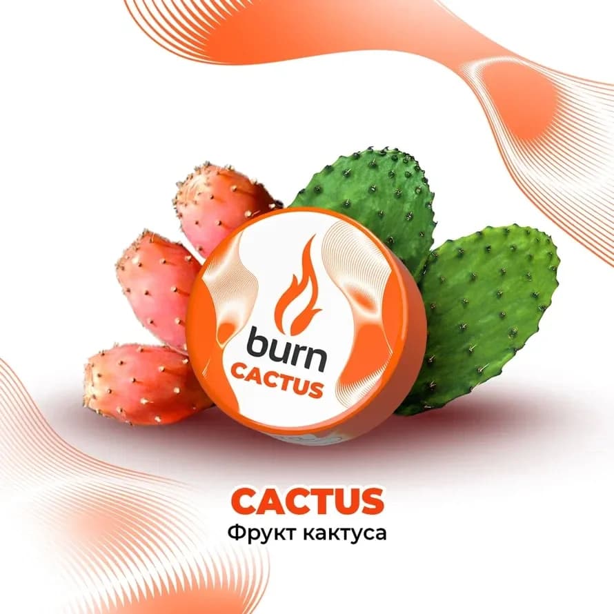 Фрукт Кактуса