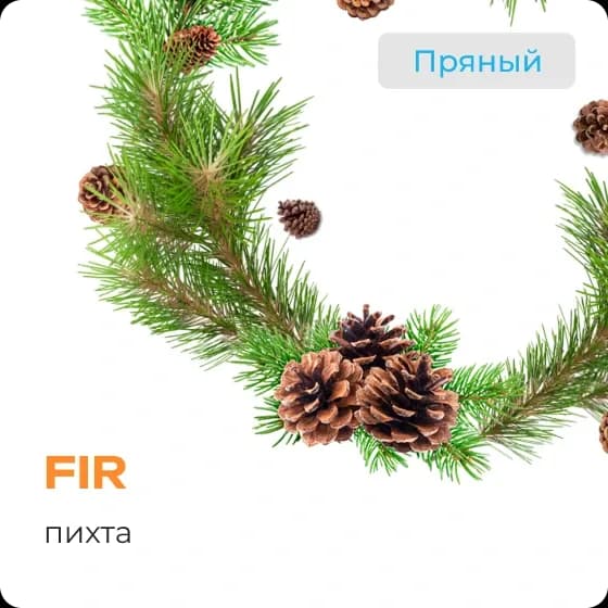 FIR