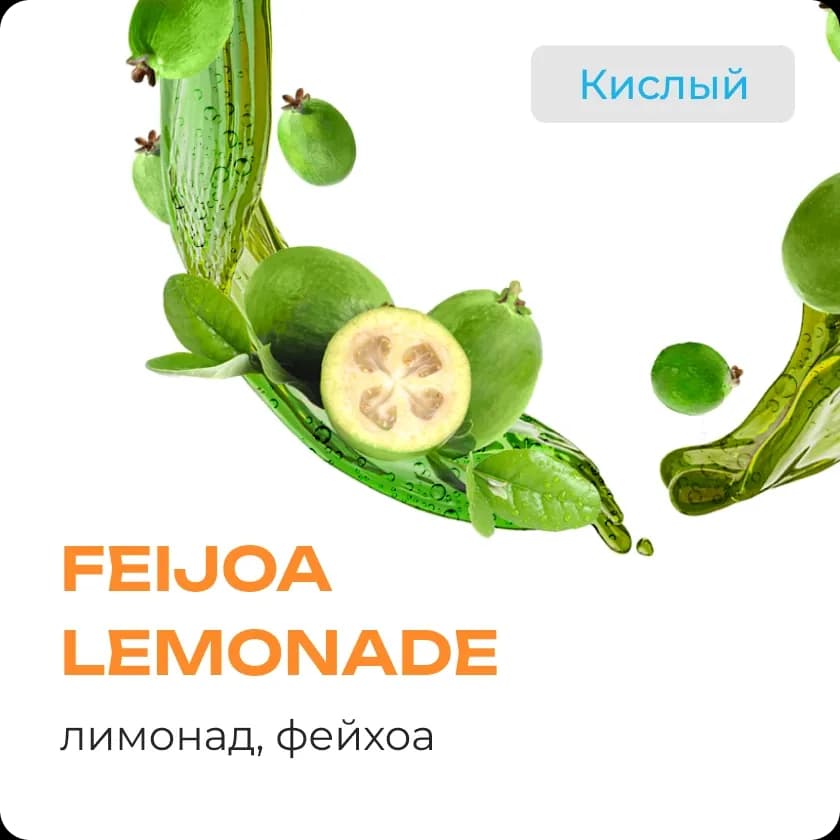 FEIJOA LEMONADE