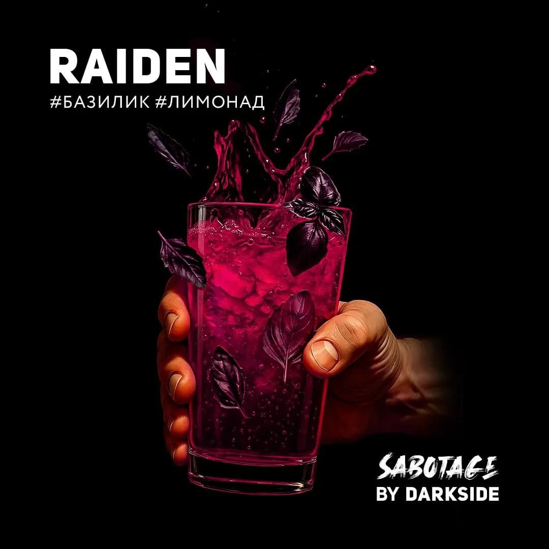 RAIDEN