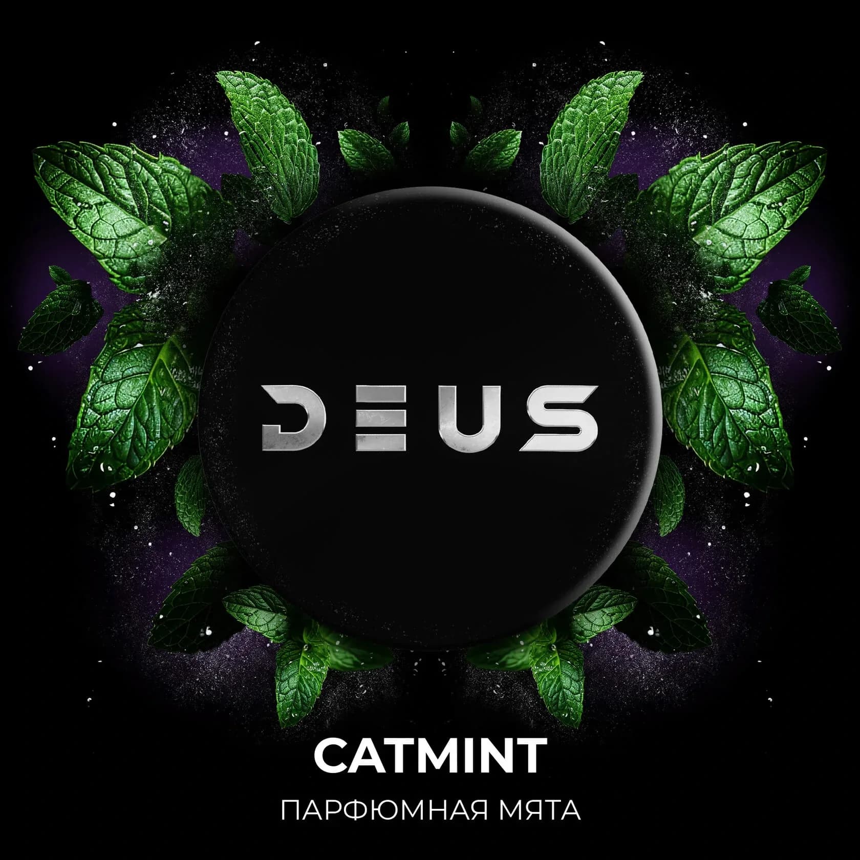 CATMINT